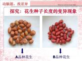 小学六年级下册科学-2.2生物的变异现象-苏教版(9张)ppt课件