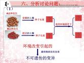 小学六年级下册科学-2.2生物的变异现象-苏教版(9张)ppt课件
