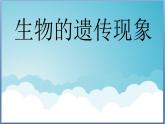 小学六年级下册科学-2.1生物的遗传现象-苏教版(15张)ppt课件