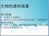 小学六年级下册科学-2.1生物的遗传现象-苏教版(15张)ppt课件