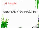 小学六年级下册科学-2.1生物的遗传现象-苏教版(18张)ppt课件