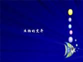 小学六年级下册科学--2.2-生物的变异现象-苏教版(21张)ppt课件