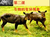 小学六年级下册科学-2.2生物的变异现象-苏教版(21张)(1)ppt课件