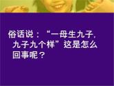 小学六年级下册科学-2.2生物的变异现象-苏教版(21张)(1)ppt课件