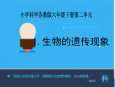 小学六年级下册科学-2.1生物的遗传现象-苏教版(9张)ppt课件