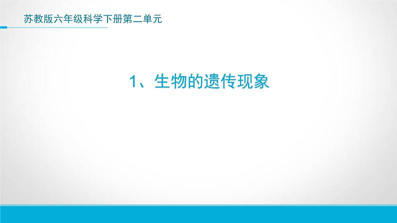 小学六年级下册科学-2.1生物的遗传现象-苏教版(16张)ppt课件第2页