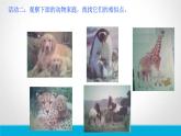 小學(xué)六年級下冊科學(xué)-2.1生物的遺傳現(xiàn)象-蘇教版(16張)ppt課件