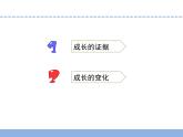 小学六年级下册科学1.我在成长(3)苏教版(12张)ppt课件