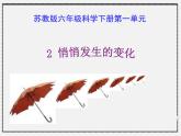 小学六年级下册科学-1.2悄悄发生的变化-苏教版(22张)(1)ppt课件