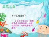 小学六年级下册科学-2.2生物的变异现象-苏教版(14张)ppt课件