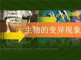 小学六年级下册科学--2.2-生物的变异现象-苏教版-(22张)ppt课件