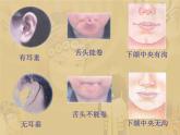 小学六年级下册科学--2.2-生物的变异现象-苏教版-(22张)ppt课件