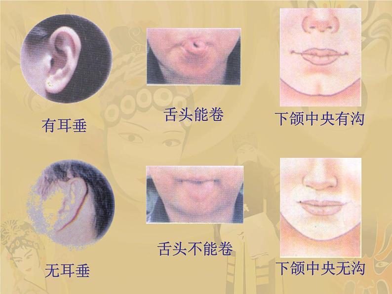 小学六年级下册科学--2.2-生物的变异现象-苏教版-(22张)ppt课件第5页