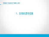 小學(xué)六年級下冊科學(xué)-2.1-生物的遺傳現(xiàn)象-蘇教版-(16張)ppt課件