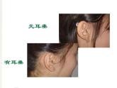 小学六年级下册科学-2.2生物的变异现象-苏教版(19张)ppt课件