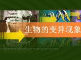 小学六年级下册科学--2.2-生物的变异现象-苏教版-(17张)ppt课件