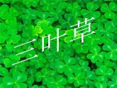 小学六年级下册科学-2.2生物的变异现象-苏教版(9张)(1)ppt课件