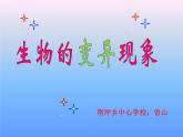 小學(xué)六年級(jí)下冊(cè)科學(xué)-2.2生物的變異現(xiàn)象-蘇教版(20張)ppt課件