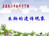 小學(xué)六年級下冊科學(xué)-2.1-生物的遺傳現(xiàn)象-蘇教版-(15張)ppt課件