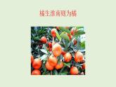 小学六年级下册科学-2.2生物的变异现象-苏教版(29张)ppt课件