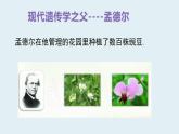 小学六年级下册科学-2.3寻找遗传与变异的秘密-苏教版(14张)(1)ppt课件