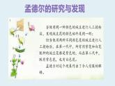 小学六年级下册科学-2.3寻找遗传与变异的秘密-苏教版(14张)(1)ppt课件
