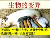 小学六年级下册科学-2.2生物的变异现象-苏教版(23张)ppt课件