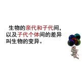 小学六年级下册科学-2.2生物的变异现象-苏教版(23张)ppt课件