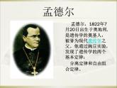 小学六年级下册科学-2.3寻找遗传与变异的秘密-苏教版(20张)ppt课件