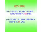 小学六年级下册科学-2.3寻找遗传与变异的秘密-苏教版(22张)ppt课件