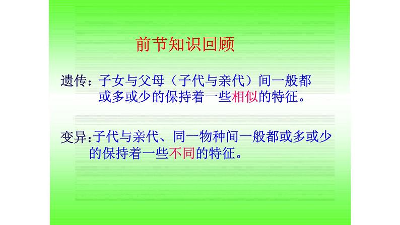 小学六年级下册科学-2.3寻找遗传与变异的秘密-苏教版(22张)ppt课件第3页