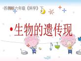 小学六年级下册科学-2.2生物的遗传现象-苏教版(19张)ppt课件