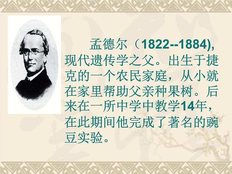 小学六年级下册科学-2.3寻找遗传与变异的秘密-苏教版(10张)ppt课件第6页