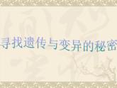 小学六年级下册科学-2.3寻找遗传与变异的秘密-苏教版-(18张)ppt课件