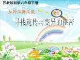 小学六年级下册科学-2.3寻找遗传与变异的秘密-苏教版(51张)ppt课件