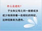 小学六年级下册科学-2.3寻找遗传与变异的秘密-苏教版(51张)ppt课件