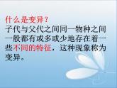 小学六年级下册科学-2.3寻找遗传与变异的秘密-苏教版(51张)ppt课件