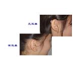 小学六年级下册科学-2.2生物的变异现象-苏教版(31张)ppt课件