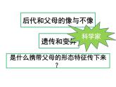 小学六年级下册科学-2.3寻找遗传与变异的秘密-苏教版(26张)ppt课件