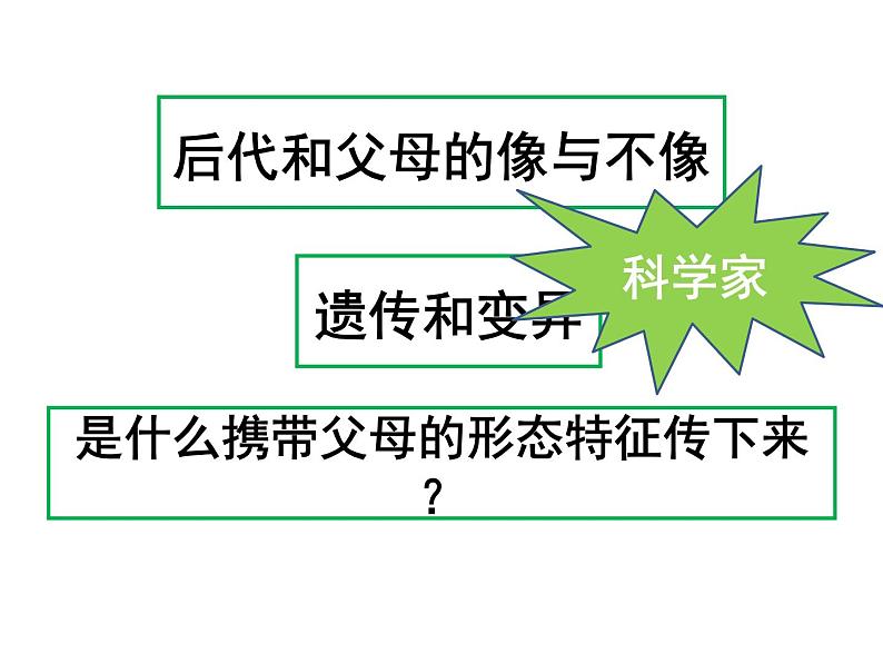 小学六年级下册科学-2.3寻找遗传与变异的秘密-苏教版(26张)ppt课件05