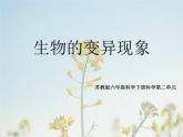 小学六年级下册科学-2.2生物的变异现象-苏教版(23张)ppt课件