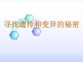 小学六年级下册科学-2.3寻找遗传与变异的秘密-苏教版(14张)ppt课件