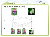 小学六年级下册科学-2.3寻找遗传与变异的秘密-苏教版(16张)(1)ppt课件