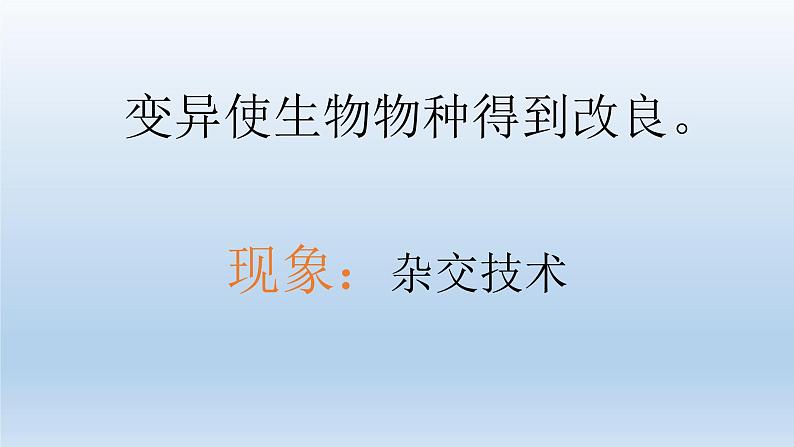 小学六年级下册科学-2.3寻找遗传与变异的秘密-苏教版(16张)ppt课件06