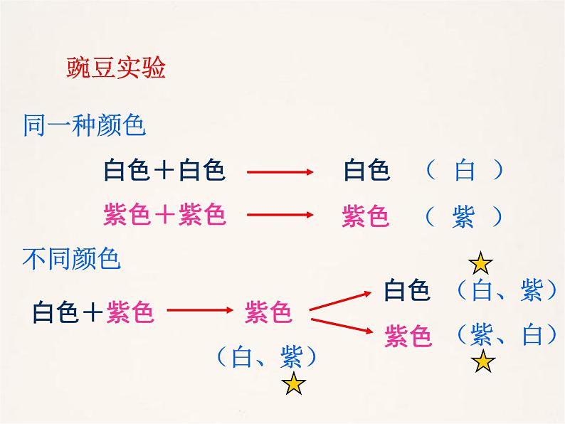 小学六年级下册科学-2.3寻找遗传与变异的秘密-苏教版(22张)ppt课件第8页