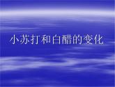 小學(xué)六年級(jí)下冊(cè)科學(xué)-2.4小蘇打和白醋的變化-教科版(11張)(5)ppt課件