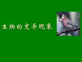 小学六年级下册科学-2.2生物的变异现象-苏教版(59张)ppt课件