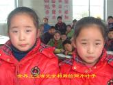 小学六年级下册科学-2.2生物的变异现象-苏教版(59张)ppt课件