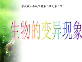 小学六年级下册科学-2.2生物的变异现象-苏教版(28张)ppt课件