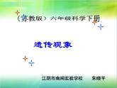 小学六年级下册科学-2.2生物的遗传现象-苏教版(24张)ppt课件